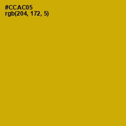 #CCAC05 - Buddha Gold Color Image