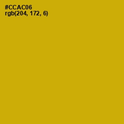 #CCAC06 - Buddha Gold Color Image