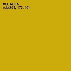 #CCAC0A - Buddha Gold Color Image