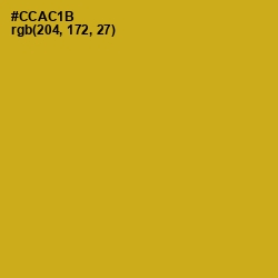 #CCAC1B - Galliano Color Image