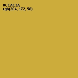 #CCAC3A - Old Gold Color Image