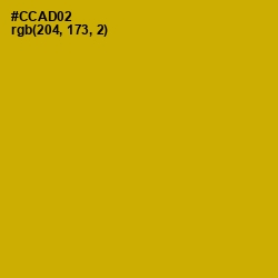 #CCAD02 - Buddha Gold Color Image