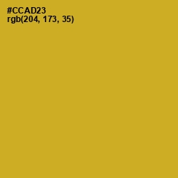 #CCAD23 - Hokey Pokey Color Image