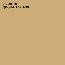 #CCAD78 - Laser Color Image