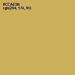 #CCAE5B - Sundance Color Image