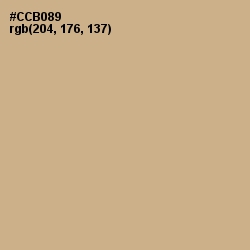 #CCB089 - Sorrell Brown Color Image