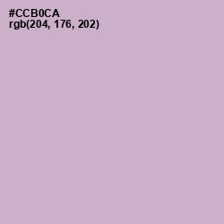 #CCB0CA - Gray Suit Color Image