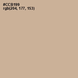 #CCB199 - Rodeo Dust Color Image
