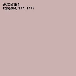 #CCB1B1 - Cold Turkey Color Image