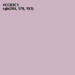 #CCB3C1 - Pale Slate Color Image