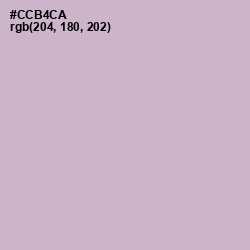#CCB4CA - Gray Suit Color Image