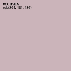 #CCB5BA - Cold Turkey Color Image