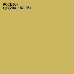 #CCB65F - Sundance Color Image