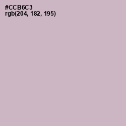 #CCB6C3 - Pale Slate Color Image