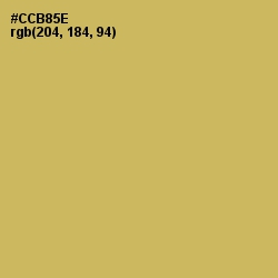 #CCB85E - Sundance Color Image