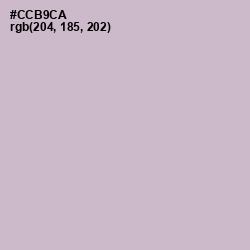 #CCB9CA - Gray Suit Color Image