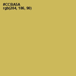 #CCBA5A - Sundance Color Image