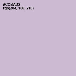 #CCBAD2 - Gray Suit Color Image