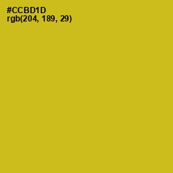 #CCBD1D - Gold Tips Color Image