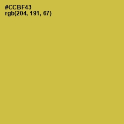 #CCBF43 - Turmeric Color Image