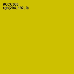 #CCC000 - Bird Flower Color Image