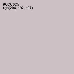 #CCC0C5 - Silver Color Image