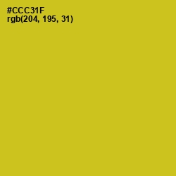#CCC31F - Bird Flower Color Image
