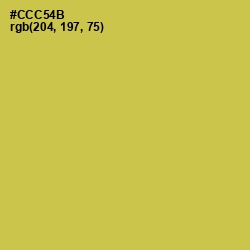#CCC54B - Wattle Color Image