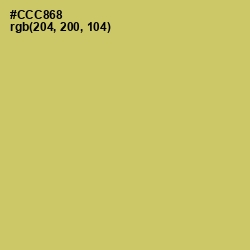 #CCC868 - Tacha Color Image