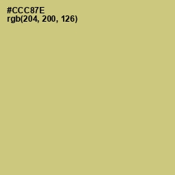 #CCC87E - Chenin Color Image