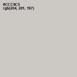 #CCC9C5 - Pumice Color Image