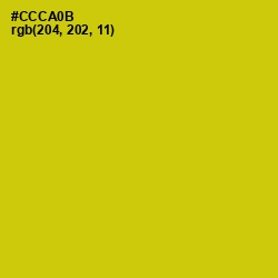 #CCCA0B - Bird Flower Color Image