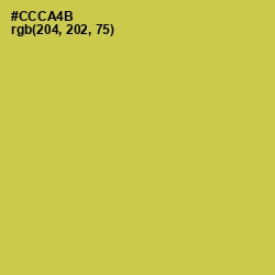 #CCCA4B - Wattle Color Image