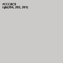 #CCCAC9 - Pumice Color Image