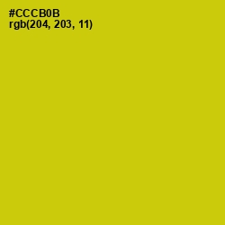 #CCCB0B - Bird Flower Color Image