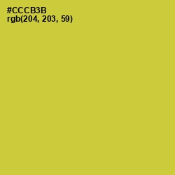 #CCCB3B - Pear Color Image