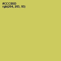 #CCCB5D - Wattle Color Image