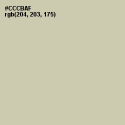 #CCCBAF - Thistle Green Color Image