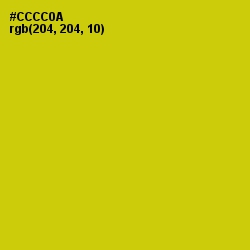 #CCCC0A - Bird Flower Color Image