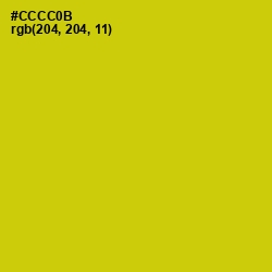 #CCCC0B - Bird Flower Color Image