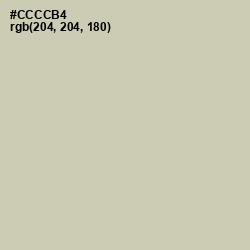 #CCCCB4 - Foggy Gray Color Image