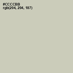 #CCCCBB - Foggy Gray Color Image