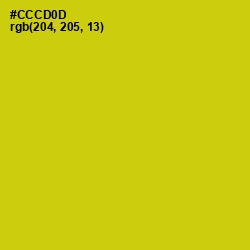 #CCCD0D - Bird Flower Color Image