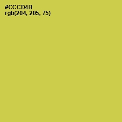 #CCCD4B - Wattle Color Image