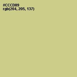 #CCCD89 - Pine Glade Color Image