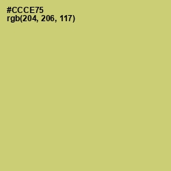 #CCCE75 - Chenin Color Image