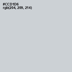 #CCD1D6 - Conch Color Image