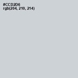 #CCD2D6 - Conch Color Image