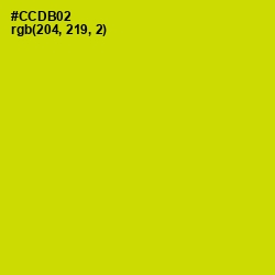 #CCDB02 - Bird Flower Color Image