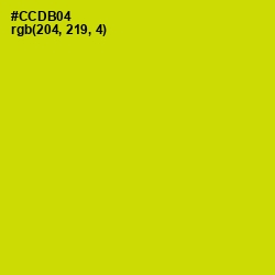 #CCDB04 - Bird Flower Color Image